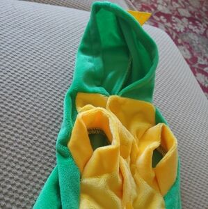 Green dino costume for small dog hoodie in velvet
